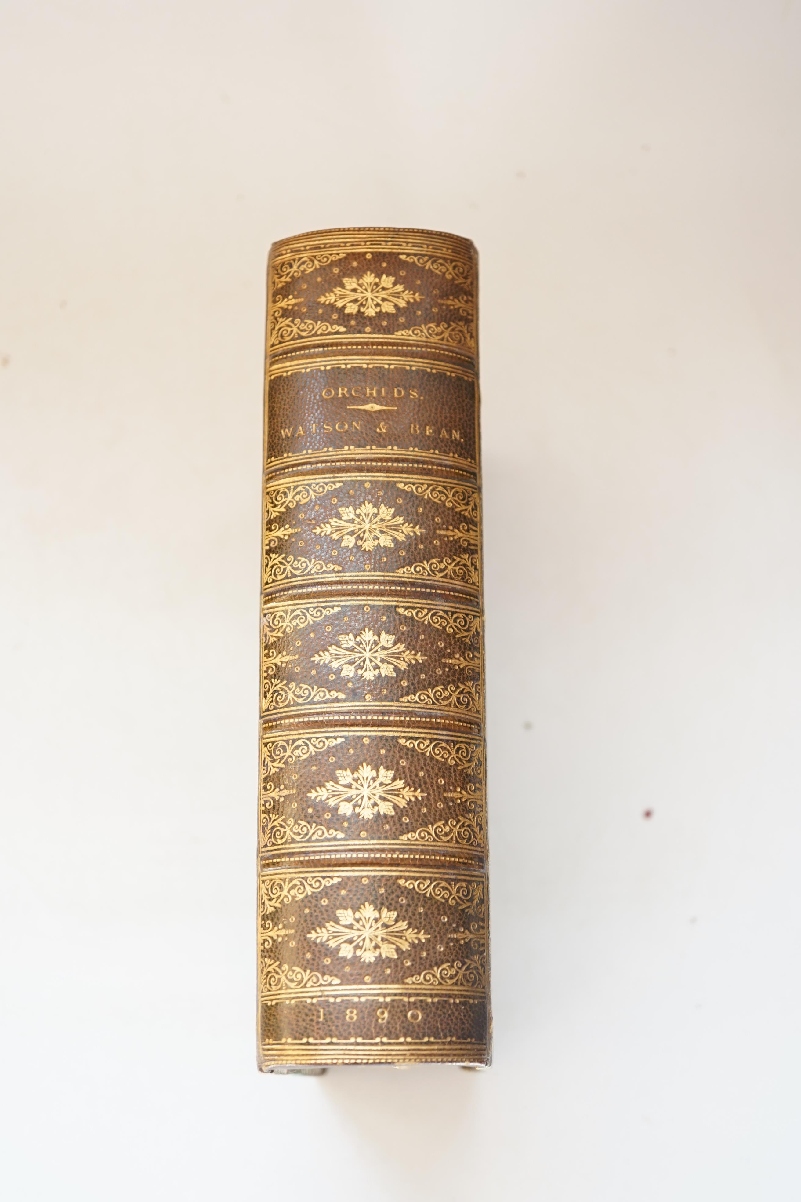 Watson, W and Bean, W - Orchids: Their Culture and Management, thick 8vo, half morocco, half title, with coloured and black and white plates, some coloured , L. Upcott Gill, London,1890.
